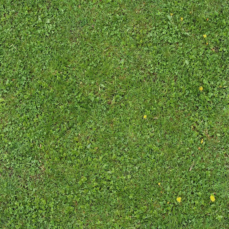 Seamless-Green-Grass-Texture-For-a-realistic-effect Awesome grass background images to check out now