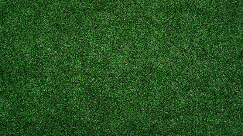 grass2 Awesome grass background images to check out now