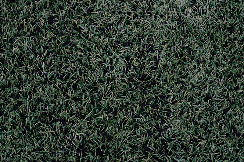 grass6 Awesome grass background images to check out now