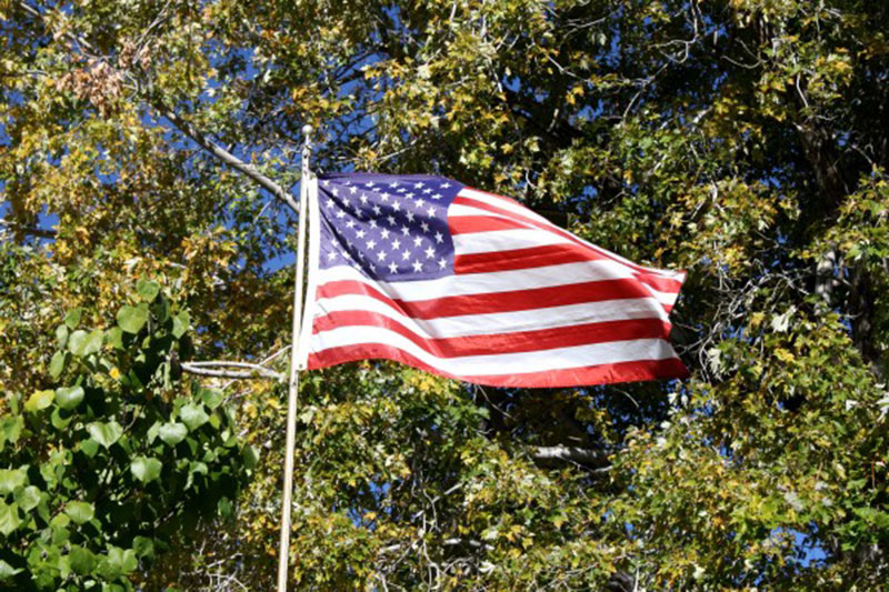 A-free-high-resolution-photo-of-an-American-flag-amongst-the-foliage The American flag wallpaper examples for the patriot in you