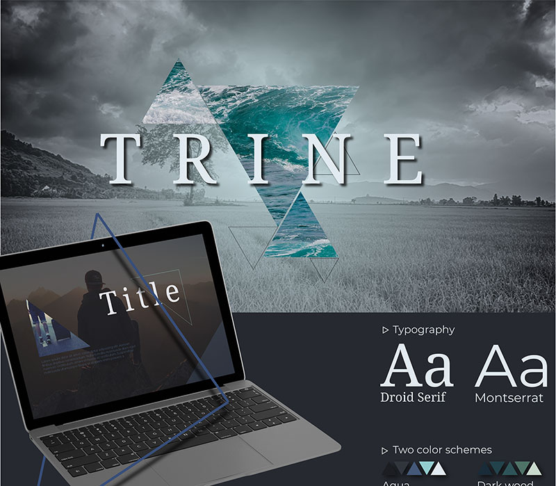Trine-Template The Best 41 Professional PowerPoint Templates