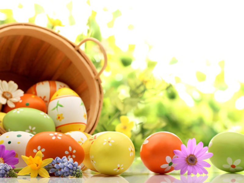 Basket-of-eggs-on-green-background-for-Easter Easter wallpaper designs to put on your desktop background