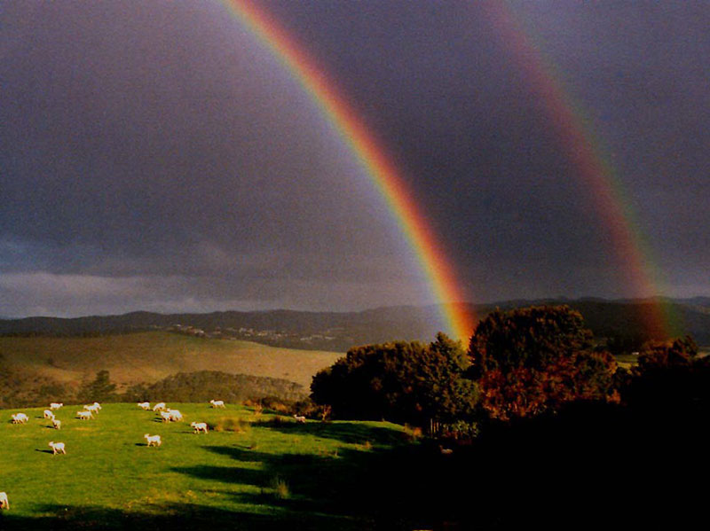 Double-rainbow-with-sheep-in-the-meadow-Visual-effect Do you need a rainbow wallpaper? Here are the best of them