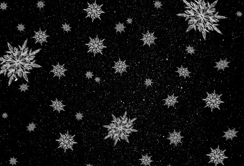 Falling-Ice-Snowflakes-Overlay-Free-Texture-Feel-the-cold Neat stars background images for stellar designs