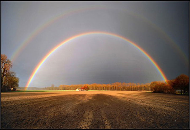 Multiple-Rainbow-A-perfect-view-for-the-field Do you need a rainbow wallpaper? Here are the best of them