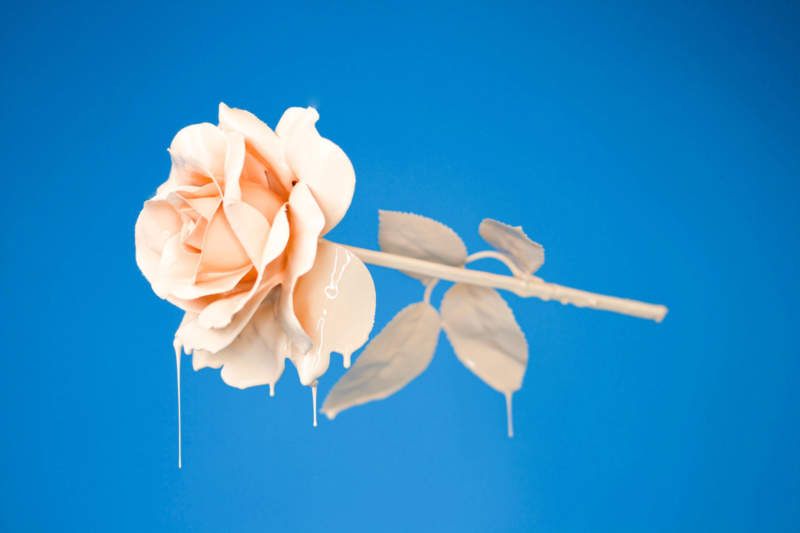 r34-800x533 Put a rose wallpaper on your desktop background: 35 images