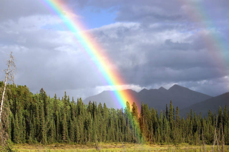 rb26-800x533 Do you need a rainbow wallpaper? Here are the best of them