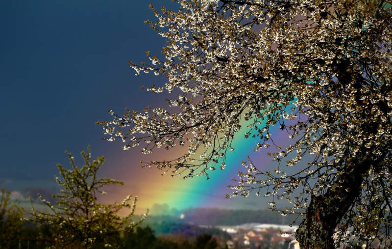 rb31-800x507 Do you need a rainbow wallpaper? Here are the best of them