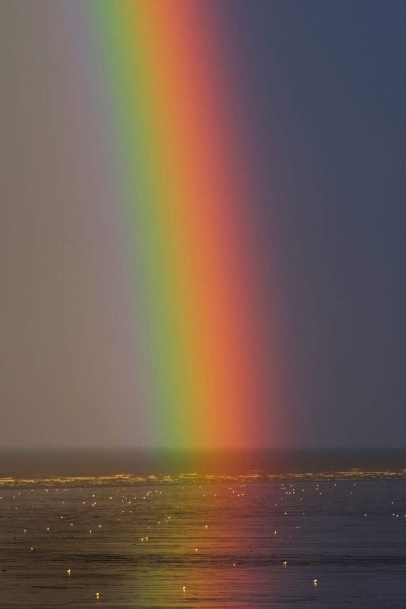 rb5-800x1200 Do you need a rainbow wallpaper? Here are the best of them