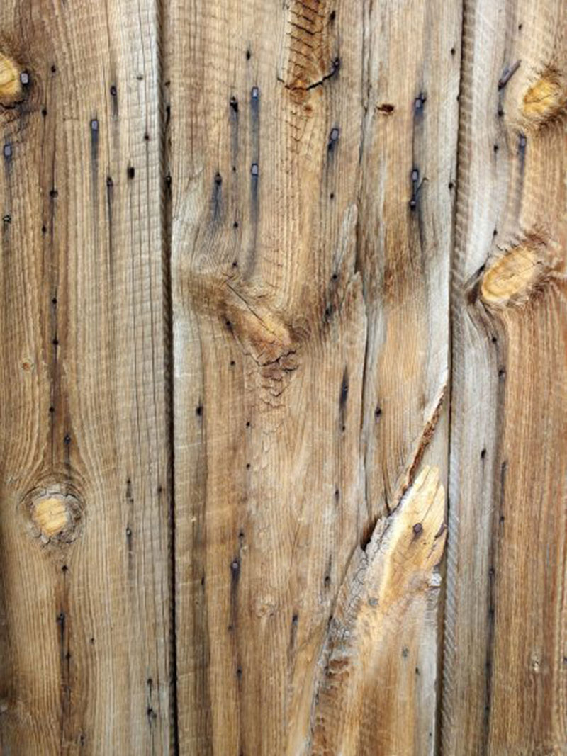 Free Wooden Background Images And Textures For Design Projects - roblox old wood textuew