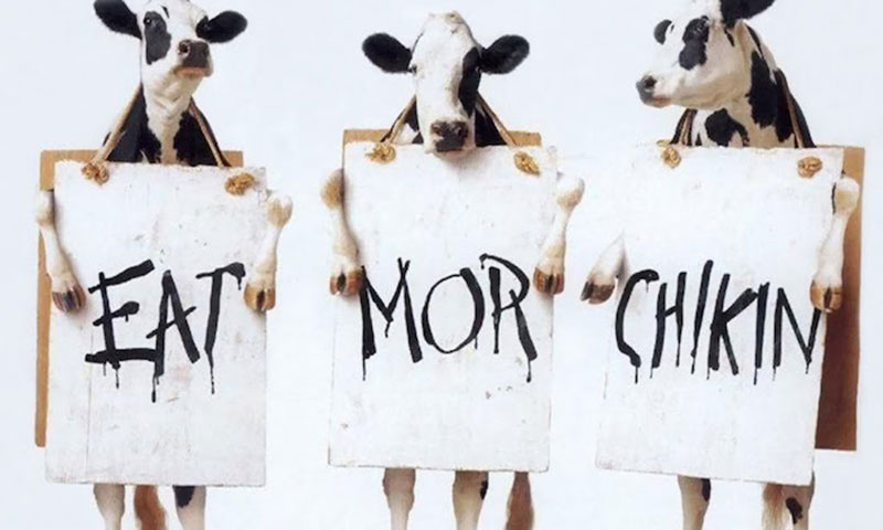 eatmorechikin 11 Advertisement Design Tips That Will Help You Make an Impression