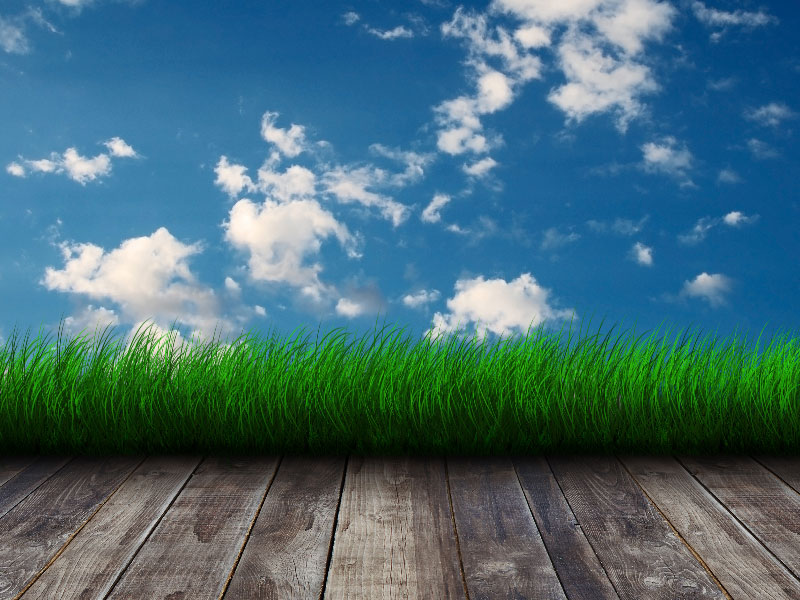 1Sky-Wall-with-Grass-Border-Room-Background-To-decorate-your-room The coolest sky wallpaper images for your desktop background