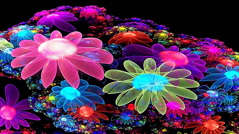 Colorful-Flower-Wallpaper-3D-with-1920x1080-Resolution-Glorious-3D-modeling The most colorful wallpaper examples you can download today