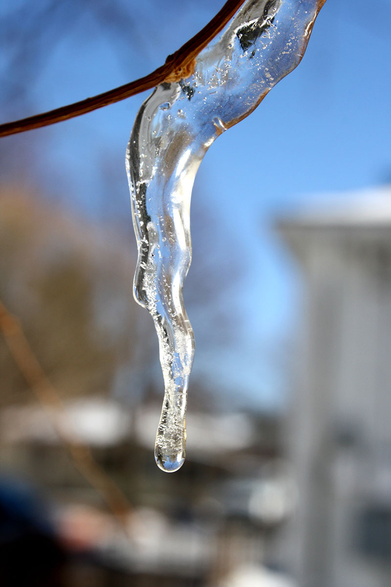 melting-icicle Get your water wallpaper from this awesome collection