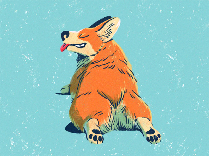 Corgi-Butts Awesome dog illustration images to inspire you