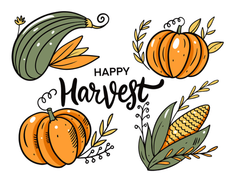 Thanksgiving-and-Harvest-holiday Thanksgiving illustration examples that are great