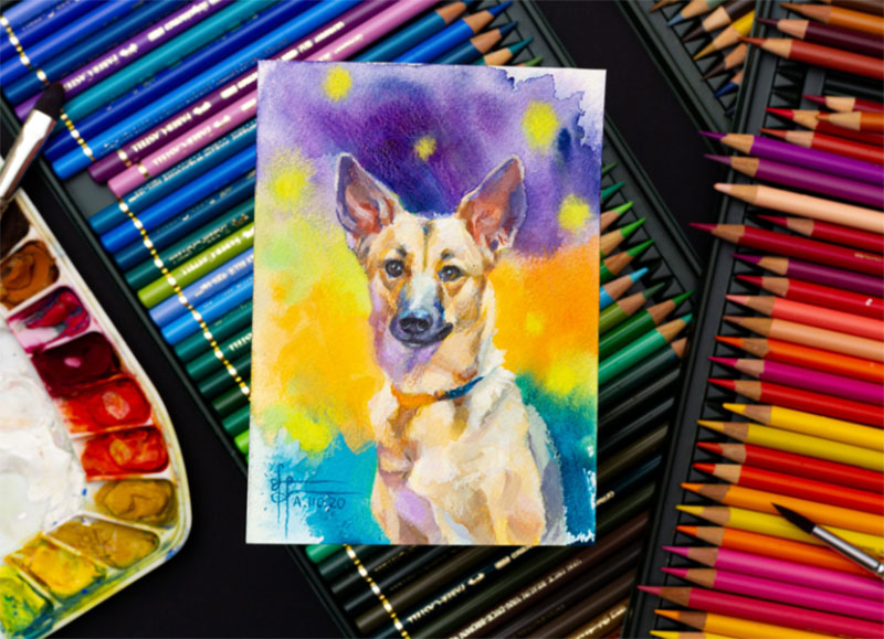 Tiny-mixed-media-German-Shepherd-dog-painting Awesome dog illustration images to inspire you