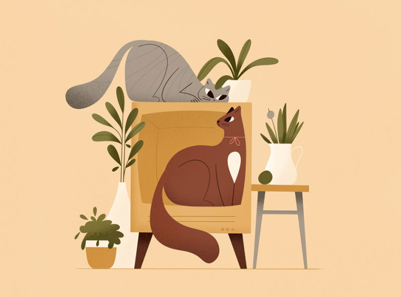 Two-cats Beautiful cat illustration examples to check out