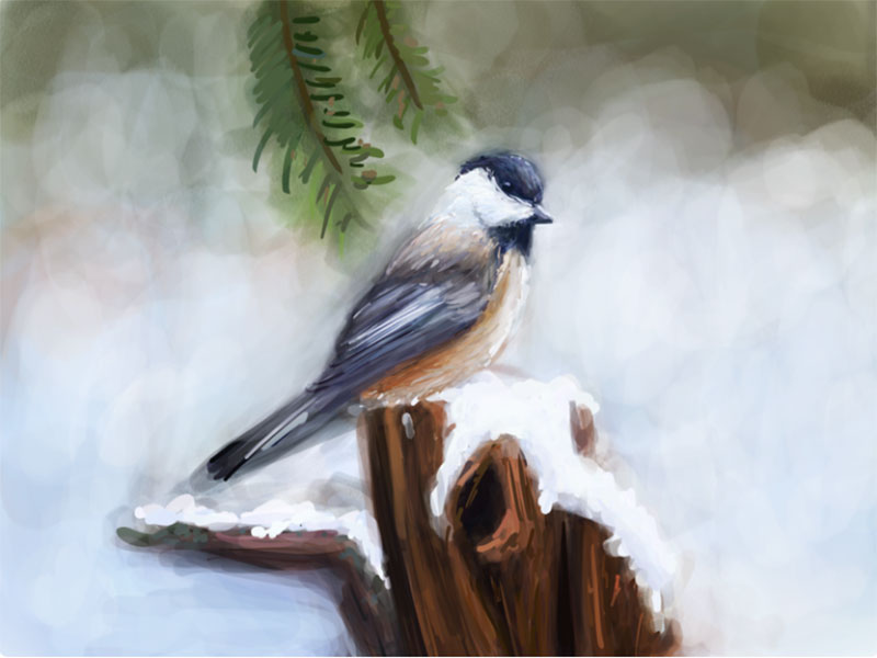 Winter-Bird-Study-3 Beautifully designed winter illustration examples for you