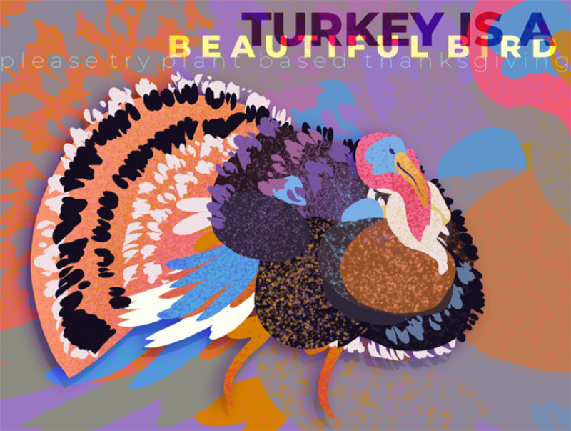 turkey-is-a-beautiful-bird Thanksgiving illustration examples that are great