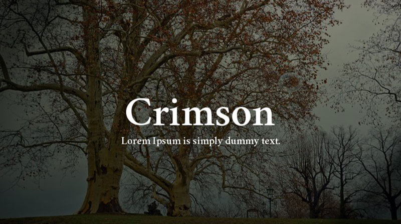 Crimson-Text Fonts similar to Minion Pro that look as great