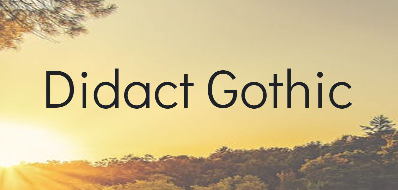 didact-gothic Fonts similar to Century Gothic that work great