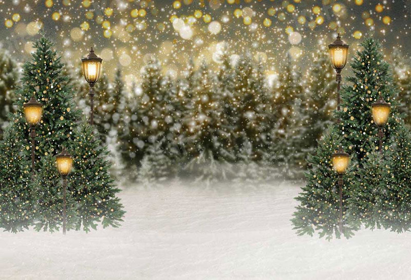 20 Amazing Christmas Backdrop Ideas You Must Try This Christmas | LaptrinhX