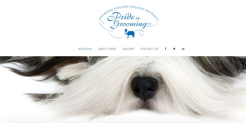 1-7 20 Dog Grooming Website Design Examples To Inspire You