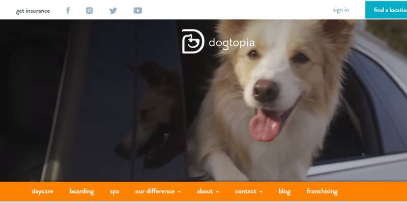 10-19 20 Pet Care Website Design Examples