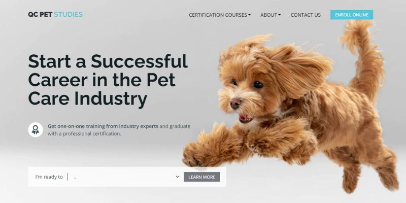 10-5 The best-designed dog grooming websites to inspire you
