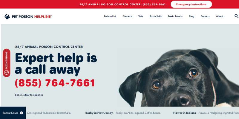 11-19 20 Pet Care Website Design Examples