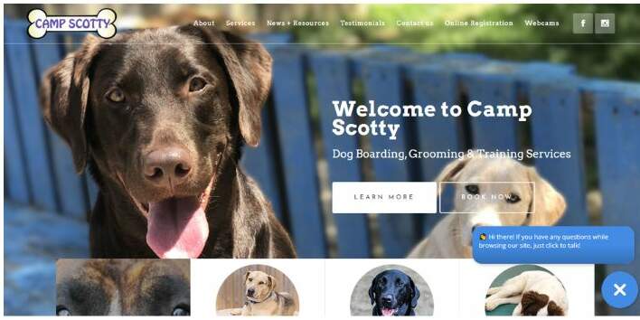 11-5-edited The best-designed dog grooming websites to inspire you