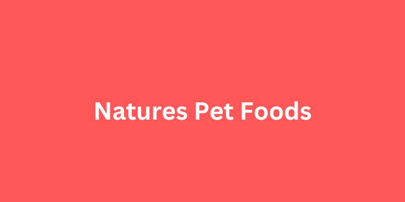 12-19 Awesome Pet Care Website Designs Examples