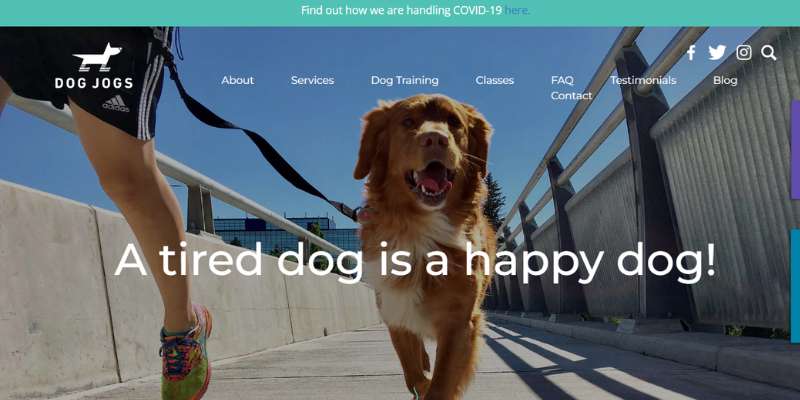 13-19 20 Pet Care Website Design Examples