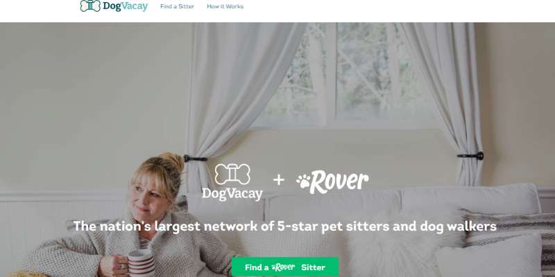 15-19 Awesome Pet Care Website Designs Examples