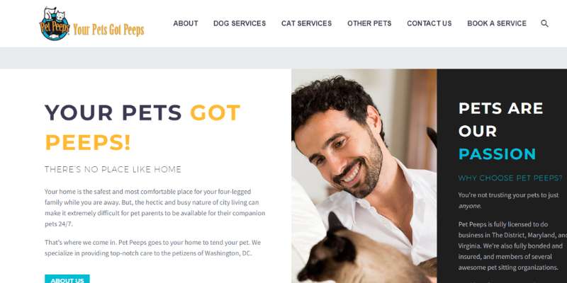 16-19 20 Pet Care Website Design Examples