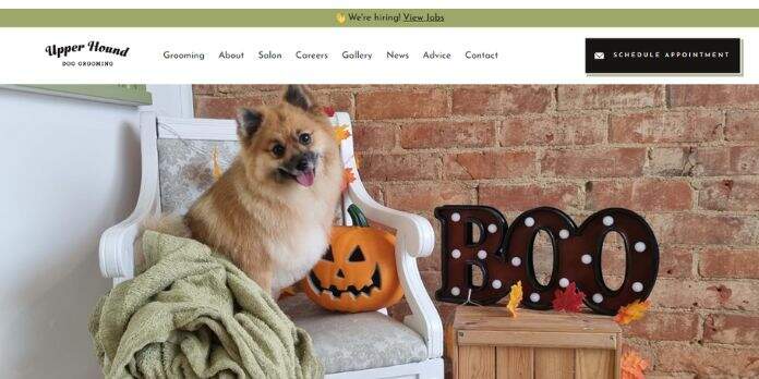 16-5-edited The best-designed dog grooming websites to inspire you