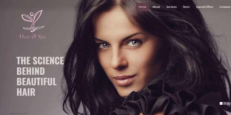 17-12 35 Gorgeous Hair Salon Website Design Examples