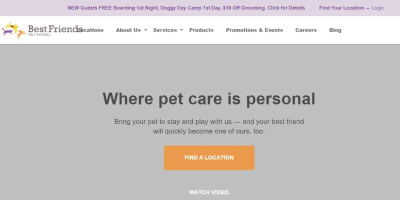 17-19 Awesome Pet Care Website Designs Examples
