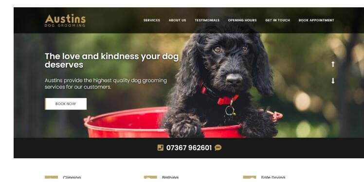 17-5-edited The best-designed dog grooming websites to inspire you
