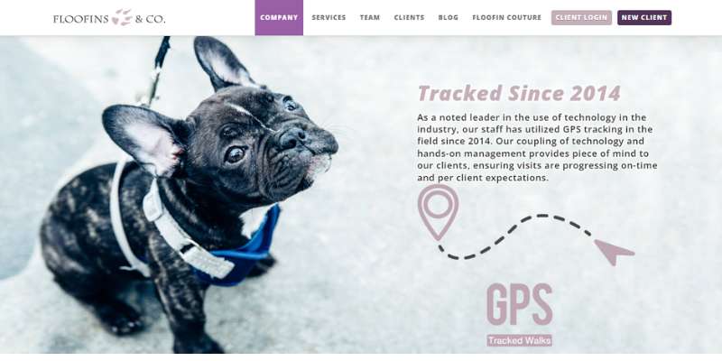 18-19 Awesome Pet Care Website Designs Examples