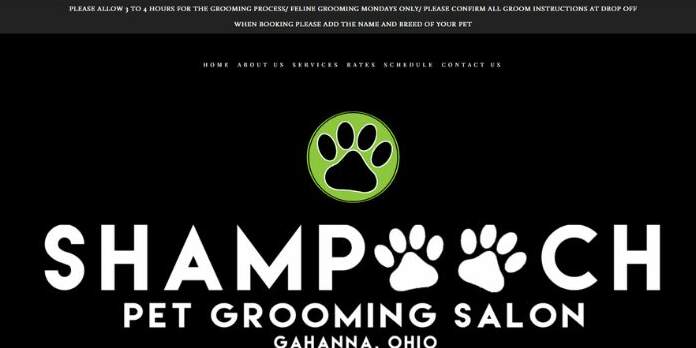 20-5-edited The best-designed dog grooming websites to inspire you