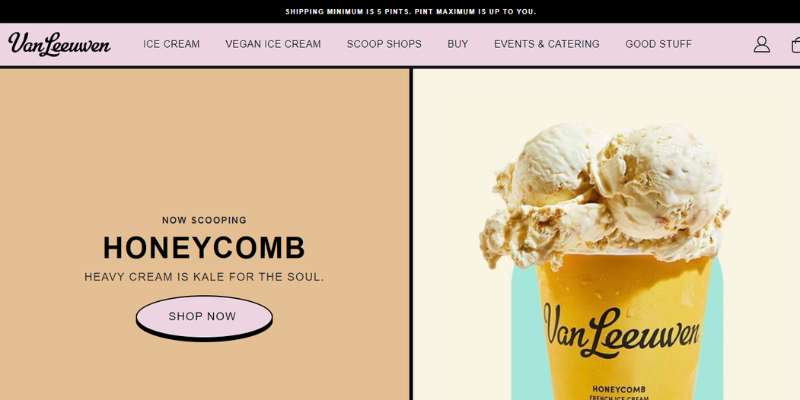 21-14 The 26 Best Ice Cream Website Design Examples
