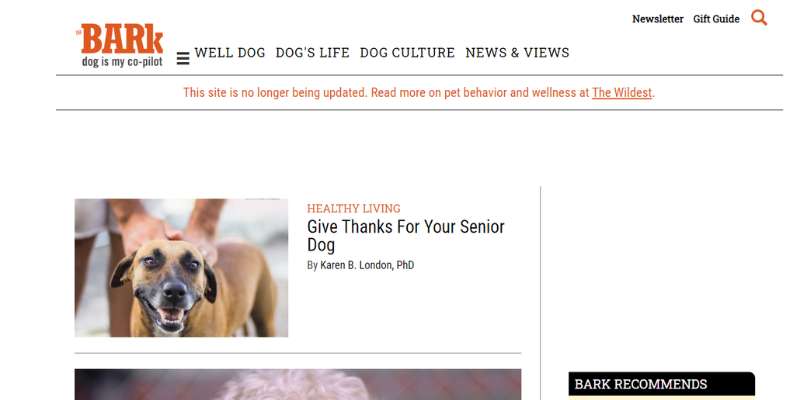 21-15 Awesome Pet Care Website Designs Examples
