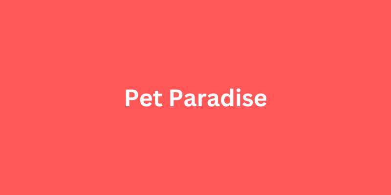22-15 Awesome Pet Care Website Designs Examples