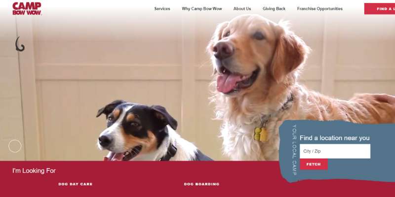 3-23 20 Pet Care Website Design Examples