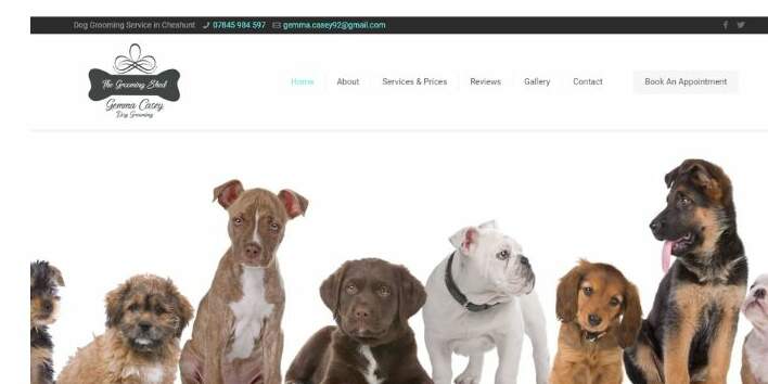 7-5-edited The best-designed dog grooming websites to inspire you