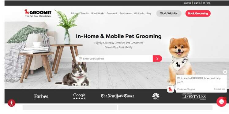 8-5-edited The best-designed dog grooming websites to inspire you
