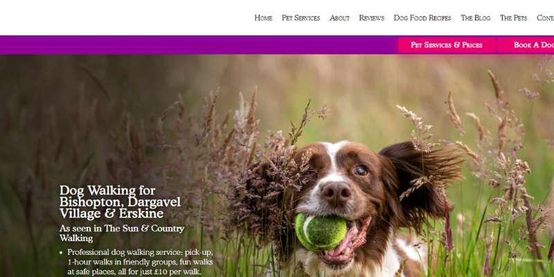 9-20 Awesome Pet Care Website Designs Examples
