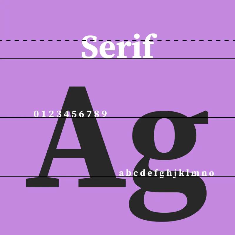 serif What font does Notion use in its software
